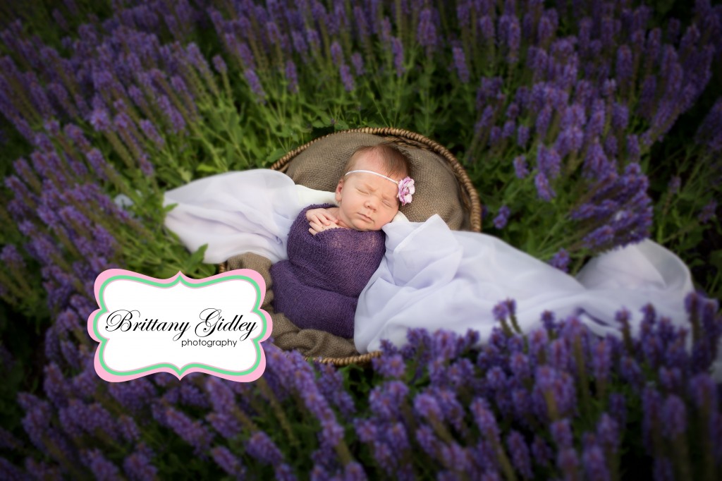 Newborn Baby | Flowers | Purple | Newborn Session | Outdoors | Brittany Gidley Photography LLC