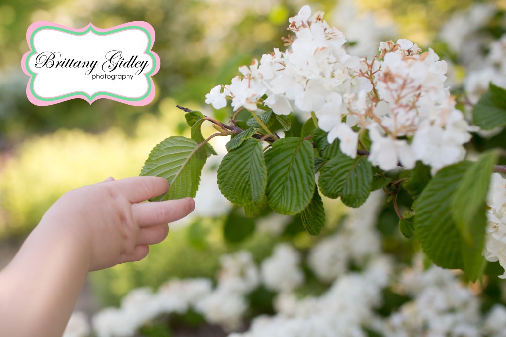 12 Month Baby Girl | Brittany Gidley Photography LLC