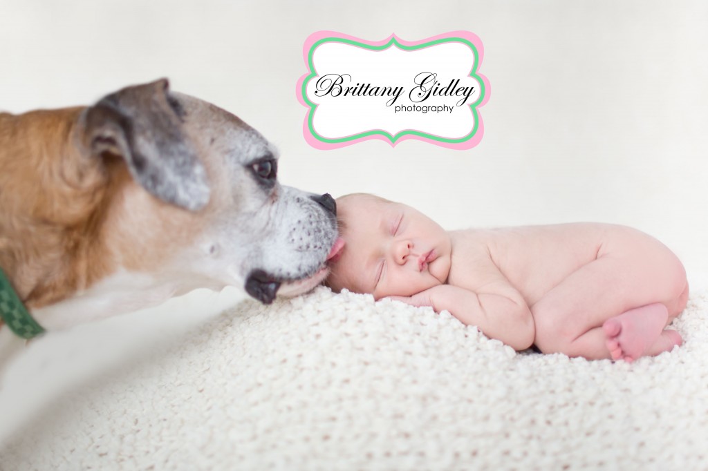Boxer with Newborn | Dog with Newborn | Pet Photography | Start With The Best | Brittany Gidley Photography LLC