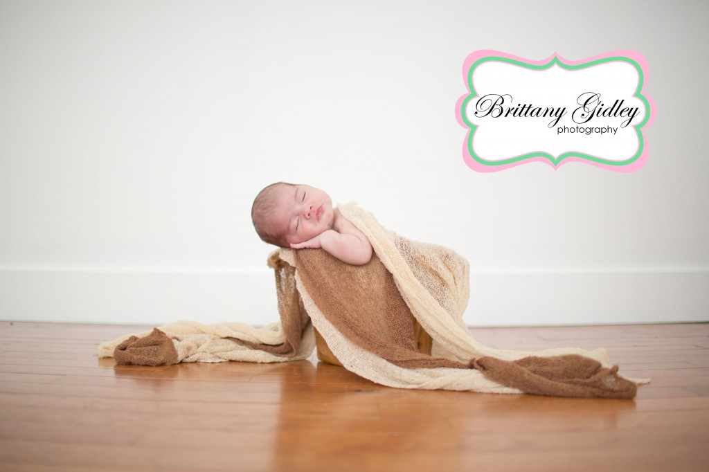 Baby Photographer | Brittany Gidley Photography LLC