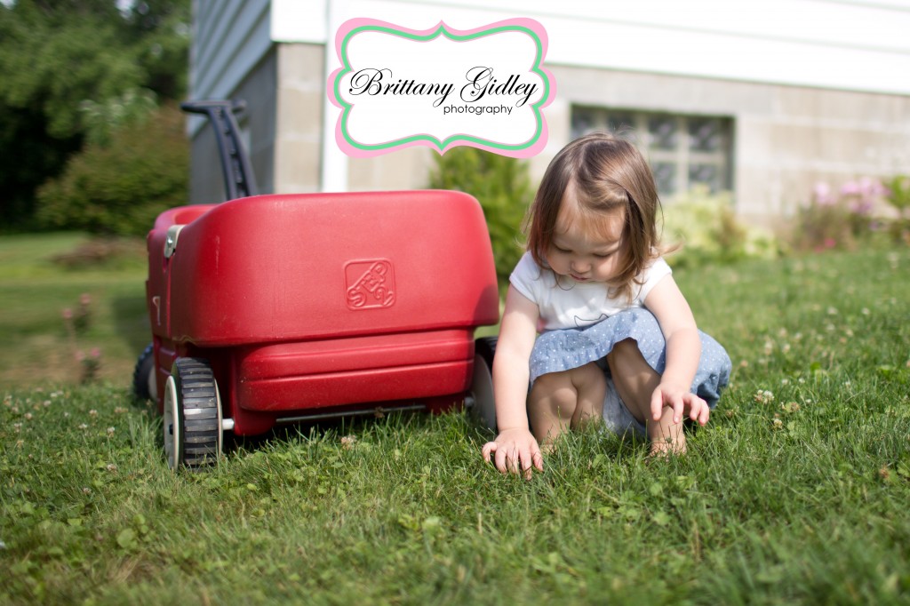 2 Year Old Toddler | Brittany Gidley Photography LLC