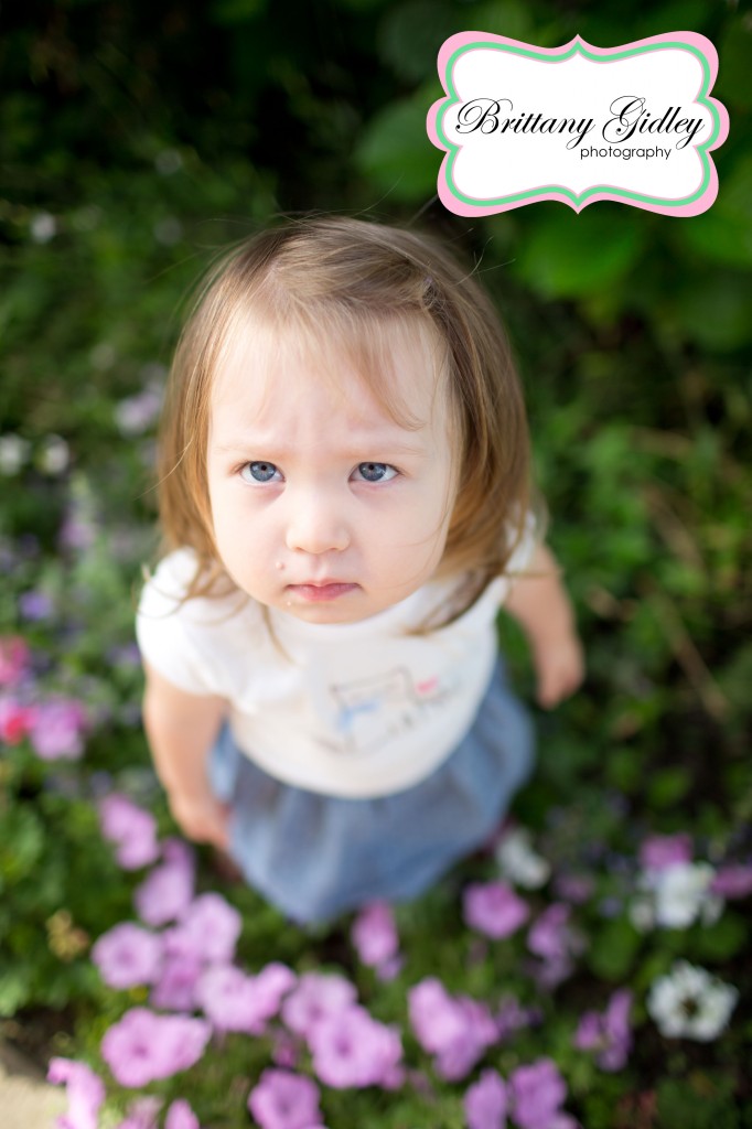 2 Year Old Toddler | Brittany Gidley Photography LLC