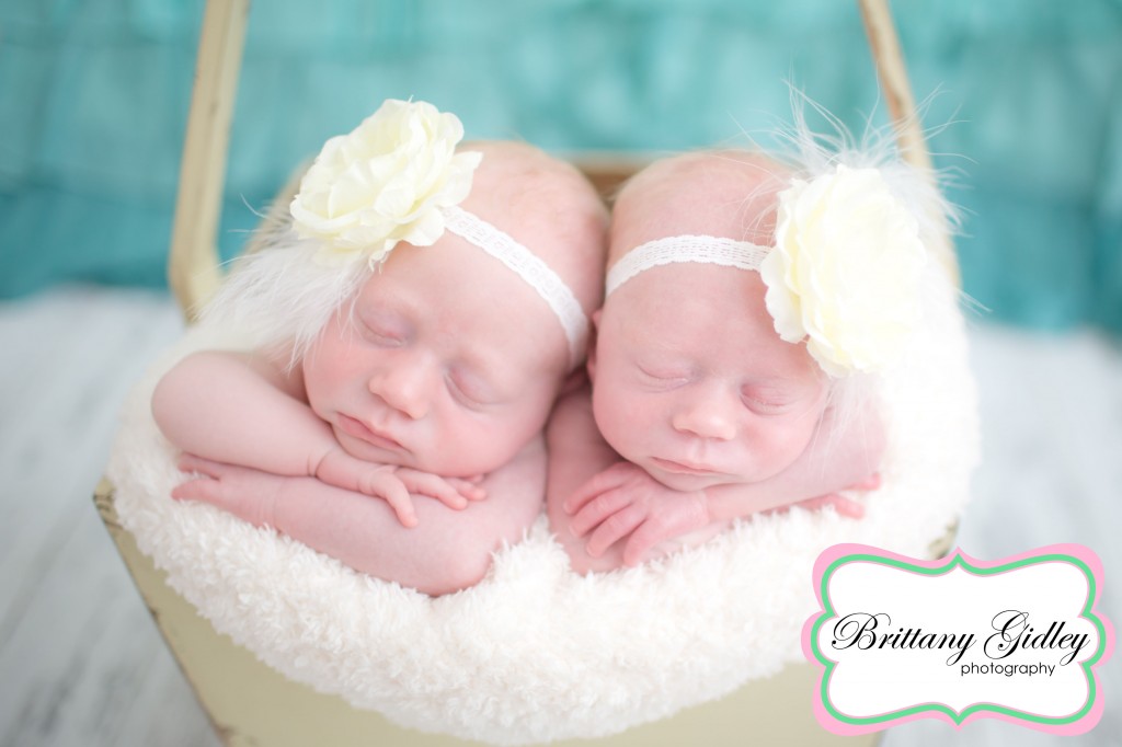 Twin Newborn Session | Twins | Twin Posing | Brittany Gidley Photography LLC