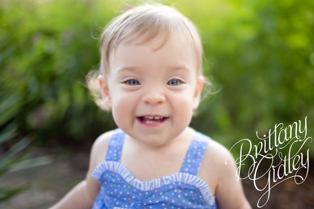 Akron Photographer | Akron Photography | Toddler Photography | Baby Photography | Field | Flowers | Purple | Pink