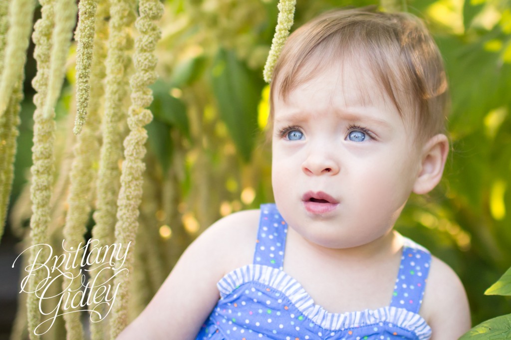 Akron Photographer | Akron Photography | Toddler Photography | Baby Photography | Field | Flowers | Purple | Pink
