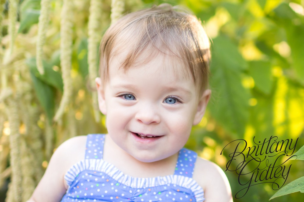Akron Photography | Start With The Best | Brittany Gidley Photography LLC | Toddler Photography | Baby Photography | Field | Flowers | Purple | Pink