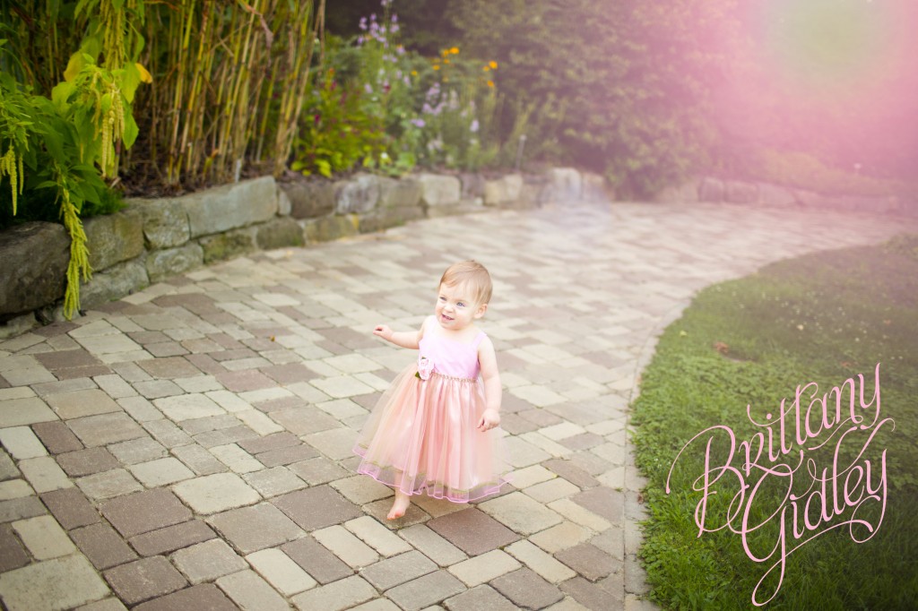 Akron Photography | Start With The Best | Brittany Gidley Photography LLC | Toddler Photography | Baby Photography | Field | Flowers | Purple | Pink