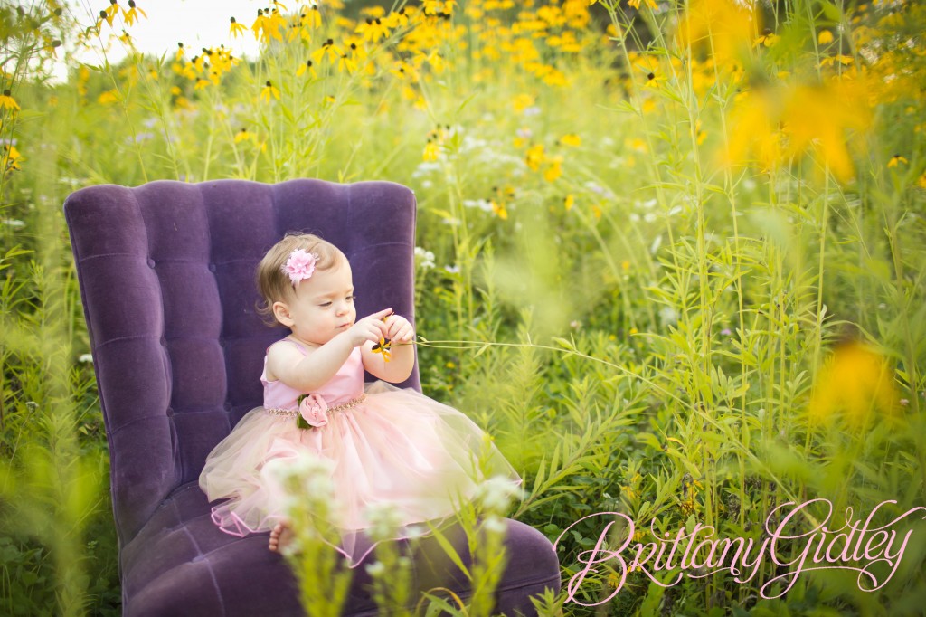 Akron Photography | Start With The Best | Brittany Gidley Photography LLC | Toddler Photography | Baby Photography | Field | Flowers | Purple | Pink