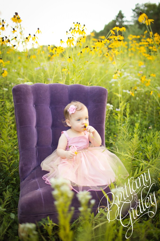 Akron Photography | Start With The Best | Brittany Gidley Photography LLC | Toddler Photography | Baby Photography | Field | Flowers | Purple | Pink