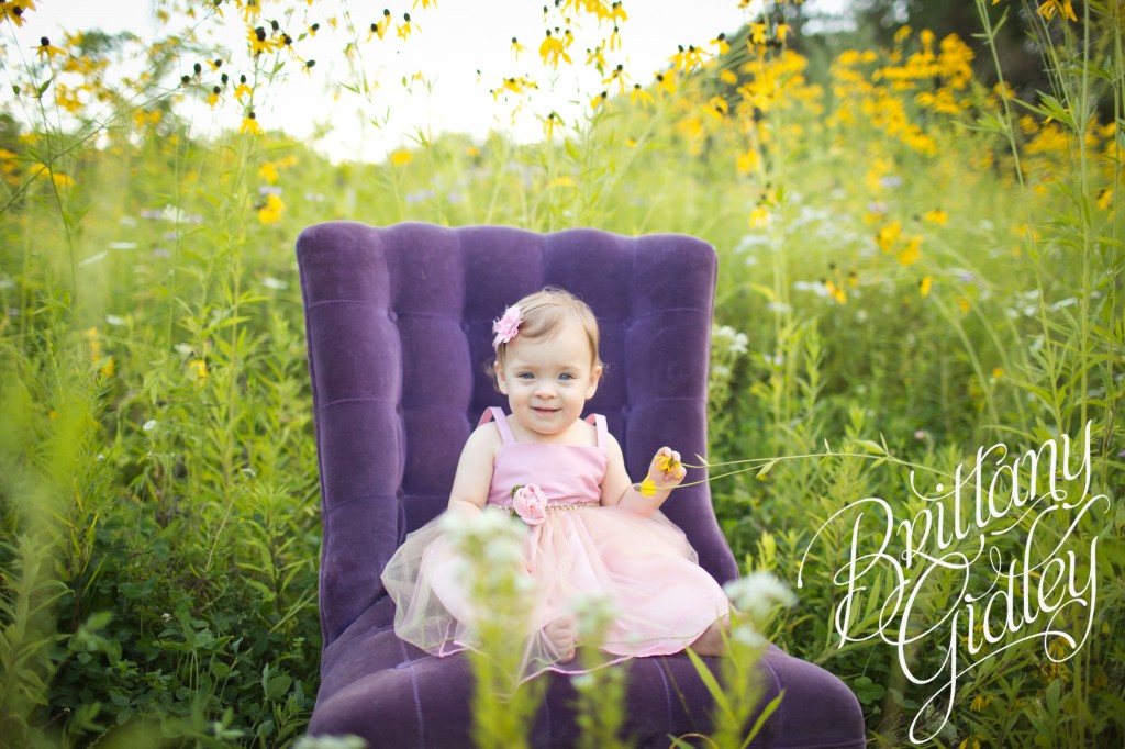 Akron Photographer | Akron Photography | Toddler Photography | Baby Photography | Field | Flowers | Purple | Pink