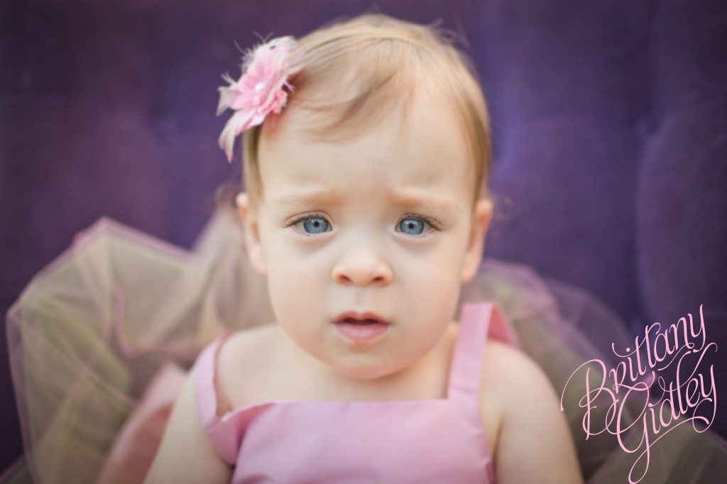 Family Photography | Start With The Best | Brittany Gidley Photography LLC | Toddler Photography | Baby Photography | Field | Flowers | Purple | Pink