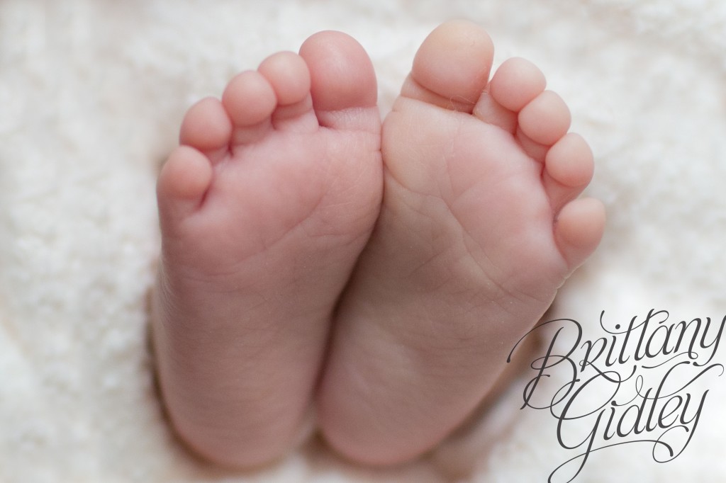 Preemie Photographer | NICU | Premature Baby | Brittany Gidley Photography LLC