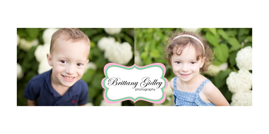 Twins | Family Photography | Brittany Gidley Photography LLC