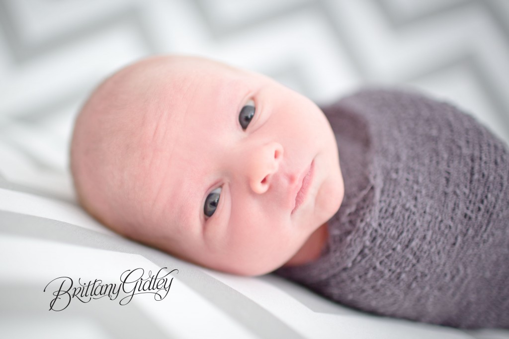 Chevron | Gray | Newborn | Love | Brittany Gidley Photography LLC