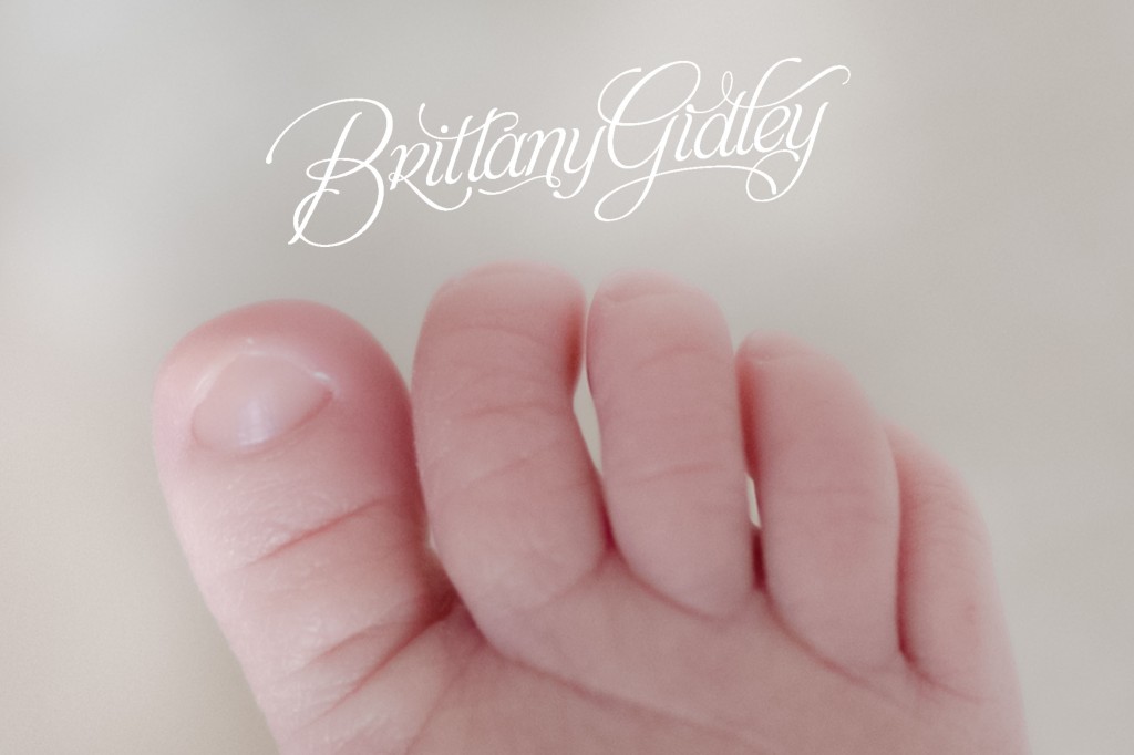 Best Baby Photographer | Details | Cream | Studio | Newborn Baby Studio | Newborn Baby