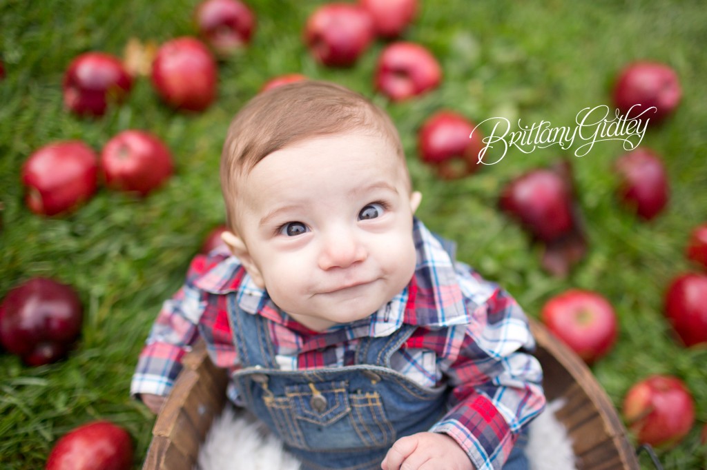 6 Months | Apple Orchard | Chesterland, OH | Baby | Brittany Gidley Photography LLC