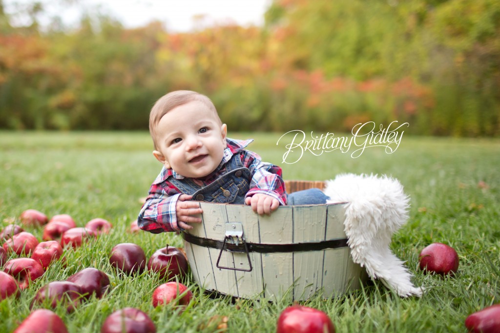 6 Months | Apple Orchard | Chesterland, OH | Baby | Brittany Gidley Photography LLC
