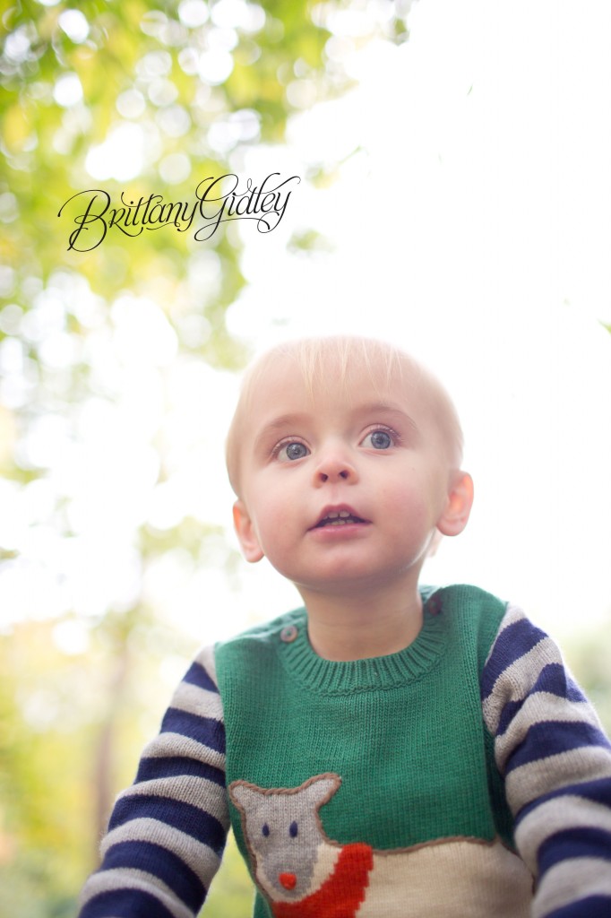 Autumn | Olmsted Falls Ohio | Fall | Brittany Gidley Photography LLC