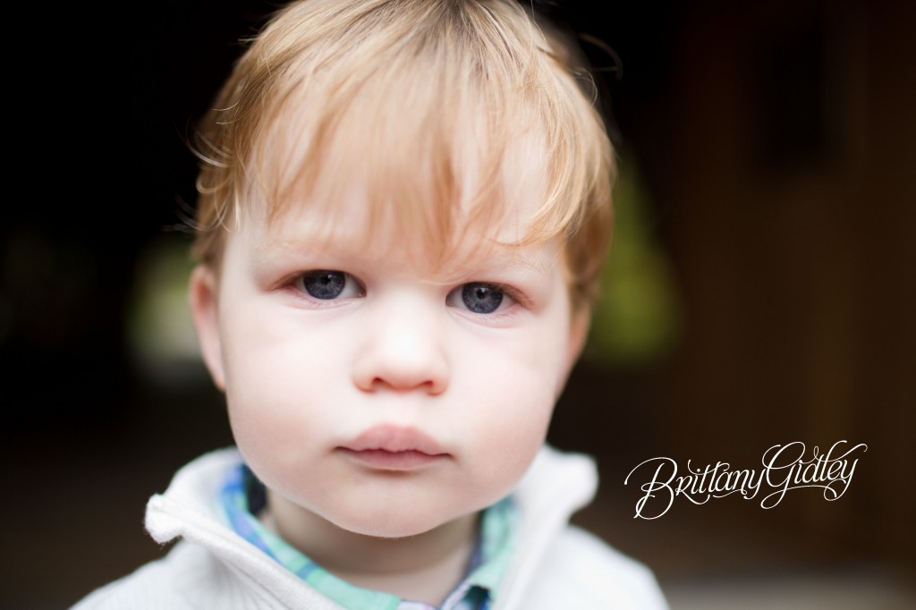 Brother | Family | Covered Bridge | Fortier Park | Olmsted Falls, OH | Brittany Gidley Photography LLC