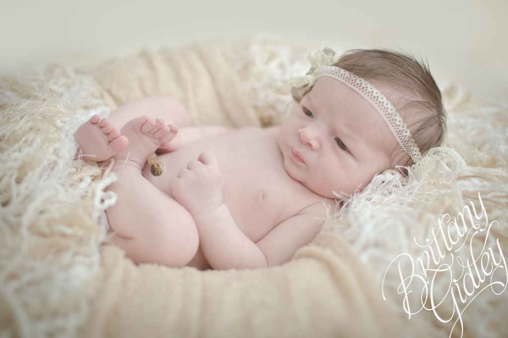 Studio Newborn | Start With The Best | Cleveland, Ohio| Pose | Newborn Inspiration | Natural Light | Brittany Gidley Photography LLC