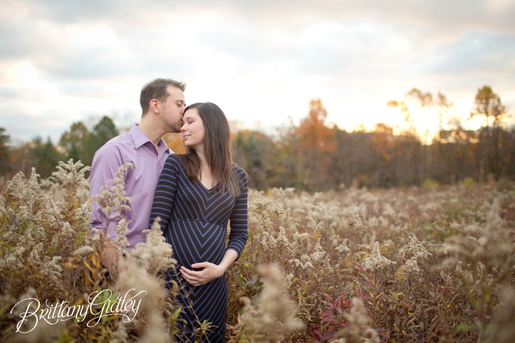 Akron Maternity | Photoshoot | Pregnancy | Maternity Posing | Inspiration | Brittany Gidley Photography LLC