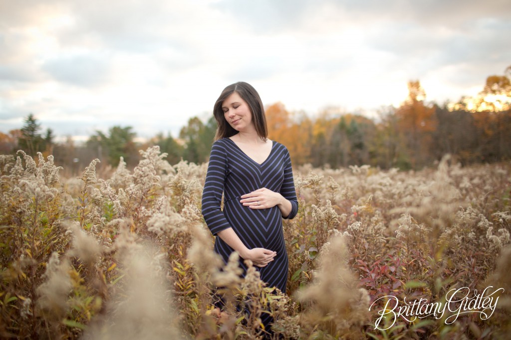 Akron Maternity | Photoshoot | Pregnancy | Maternity Posing | Inspiration | Brittany Gidley Photography LLC