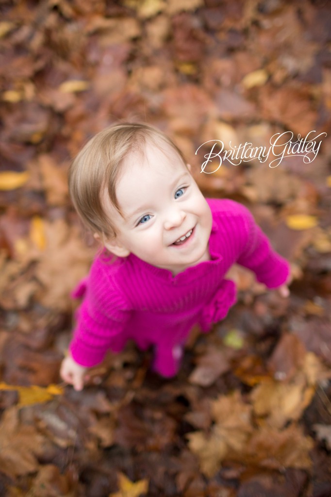 Fall Photography | Toddler | Family | Brittany Gidley Photography LLC | Autumn | Leaves