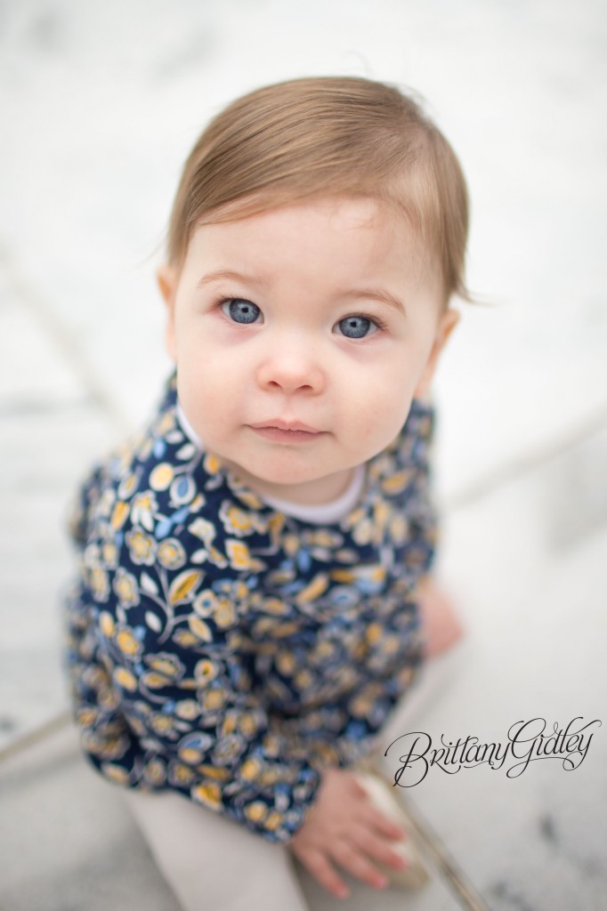 12 Month Photos | Cake Smash | Baby Portraits | Baby Brynn | Cleveland Ohio | Brittany Gidley Photography LLC