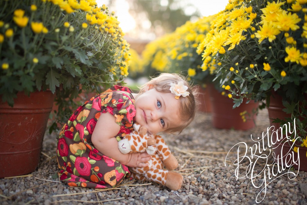 12 Month Baby | Mums | Fall | Autumn | Ohio | Brittany Gidley Photography LLC