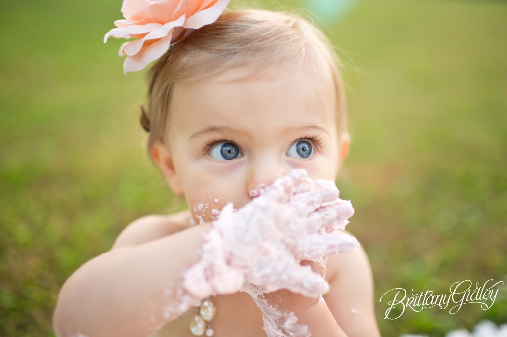 12 Month Baby | Pink | Teal | Blue Eyes | Autumn | Ohio | Cake Smash | Brittany Gidley Photography LLC