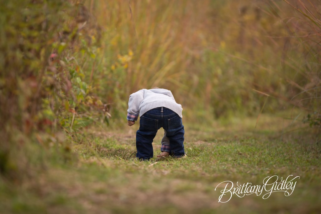 Family Fun | Fall Colors | Baby Butt | 18 Months | Autumn | Akron Ohio | Brittany Gidley Photography LLC