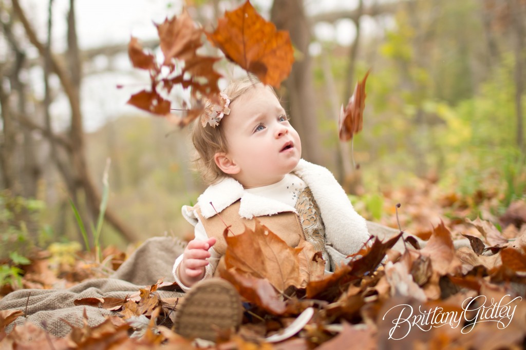 Fall Foliage | Toddler | Family | Brittany Gidley Photography LLC | Autumn | Leaves