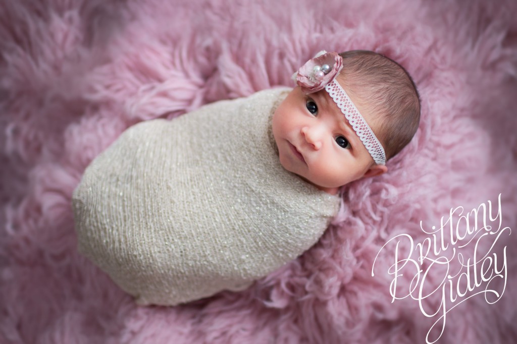 Celebrity Newborn Photographer | Introducing Eliana | Start With The Best | Pink Flokati | Newborn | Brittany Gidley Photography LLC