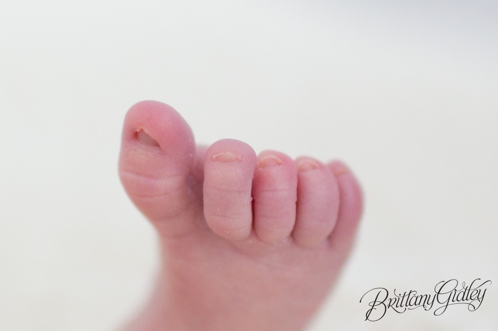 Details | Toes | Newborn | Brittany Gidley Photography LLC