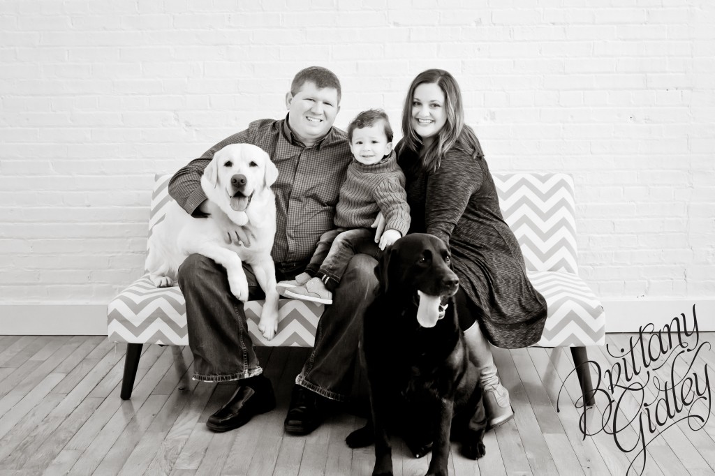Studio Family Photography | Meet Mason| Toddler | Family | Inspiration | Brittany Gidley Photography LLC
