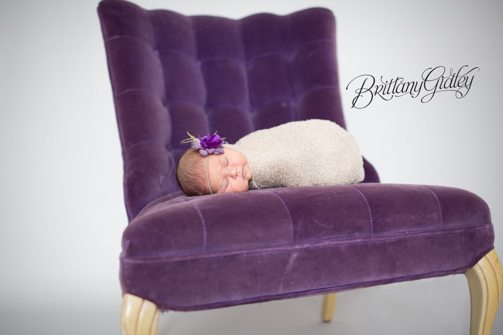 Purple | Royal | Newborn Baby Girl | Newborn | Brittany Gidley Photography LLC