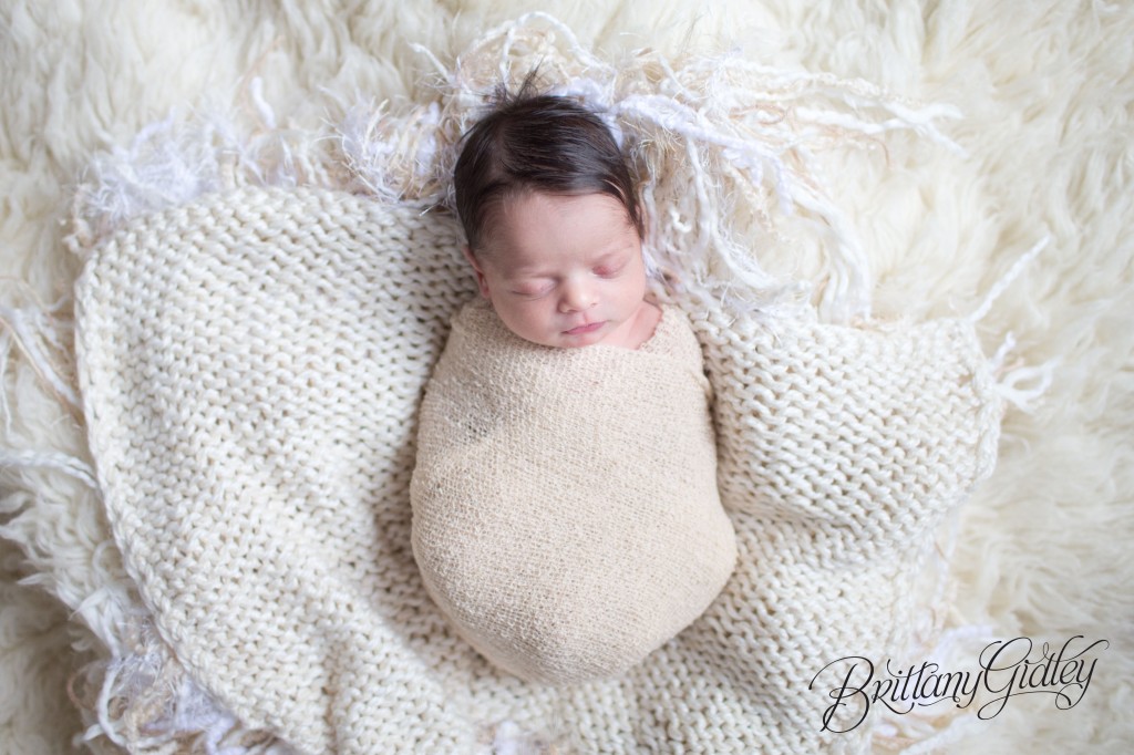 Newborn Boy | Gray | Baby Boy | Cleveland Ohio | 44114 | Start With The Best | Brittany Gidley Photography LLC