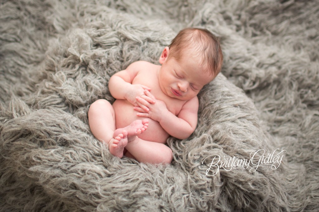 Gray Flokati | Newborn | Pure Baby | Brittany Gidley Photography LLC