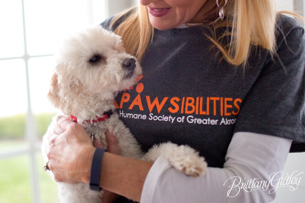 Lifestyle Pet Photography | Bay Village Ohio | Cleveland |Dogs | Adorable | Family | Pawsibilities Humane Society of Greater Akron | Rescue