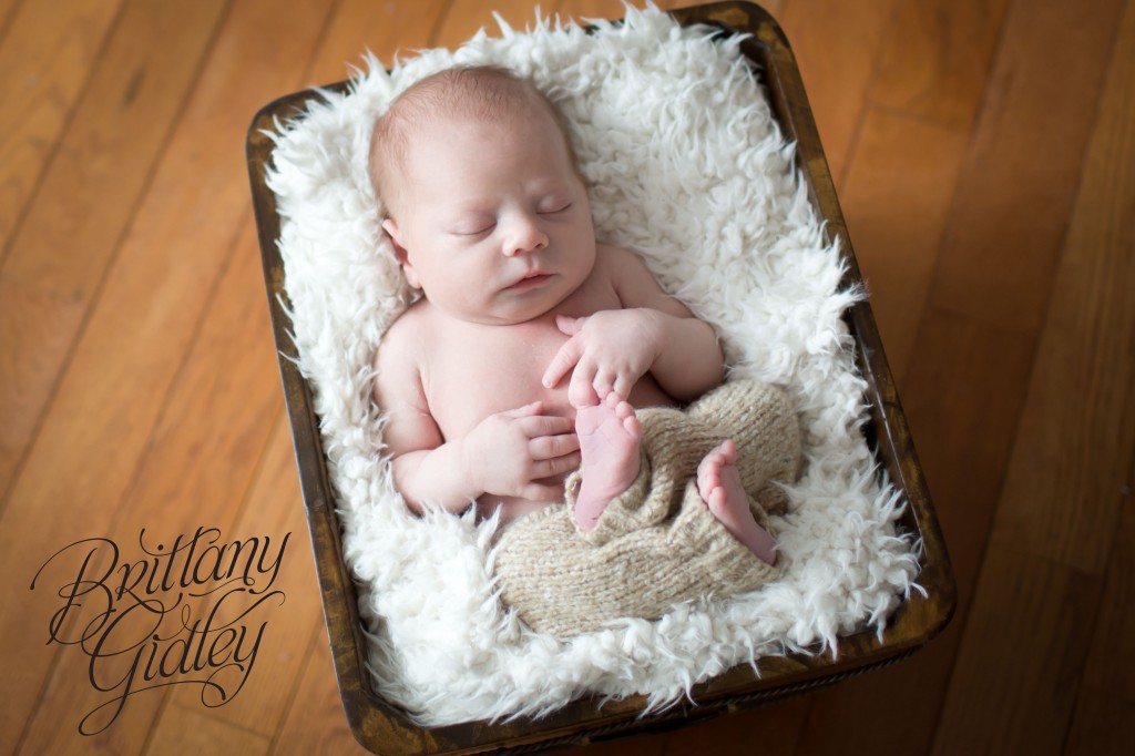 Newborn Inspiration | Newborn Posing | Best Newborn | Best Newborn | Start With The Best | Brittany Gidley Photography LLC