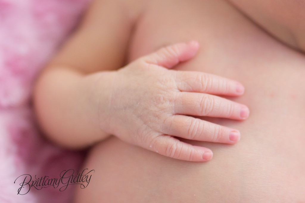 Winter Newborn Session | Pink | Details | Posing Inspiration | Baby Girl | Brittany Gidley Photography LLC