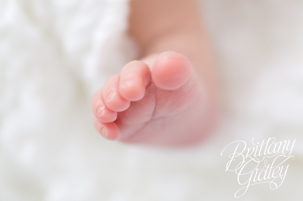 Newborn Session | Posing Inspiration | Baby Girl | Brittany Gidley Photography LLC