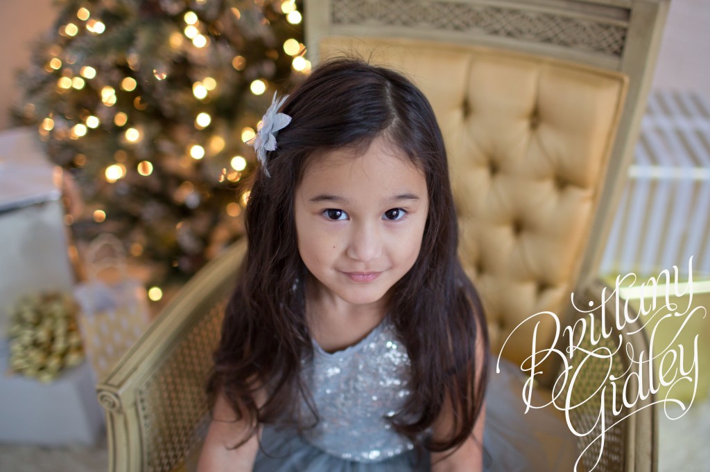 Christmas Mini Sessions | Brittany Gidley Photography LLC | Start With The Best www.brittanygidleyphotography.com