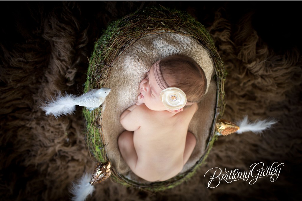 Newborn Baby Girl | Love | Cleveland | Three Little Birds | Bob Marley | Start With The Best | Brittany Gidley Photography LLC