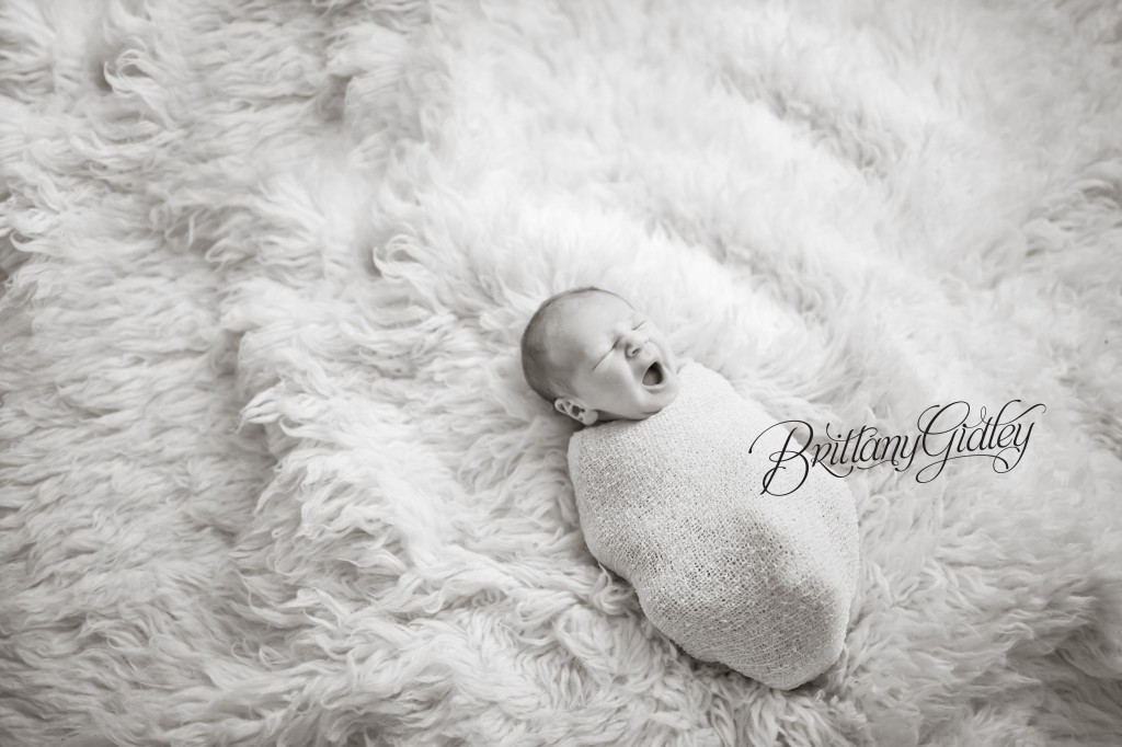 Studio Newborn | Portraits | Baby Photography | Start With The Best | Brittany Gidley Photography LLC 
