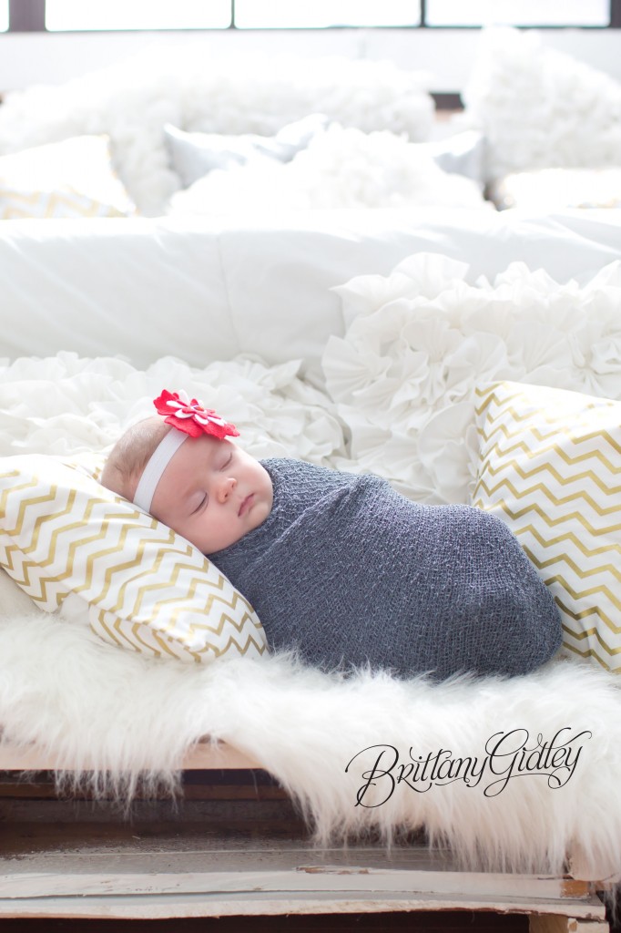 Christmas Mini Sessions | Brittany Gidley Photography LLC | Start With The Best www.brittanygidleyphotography.com