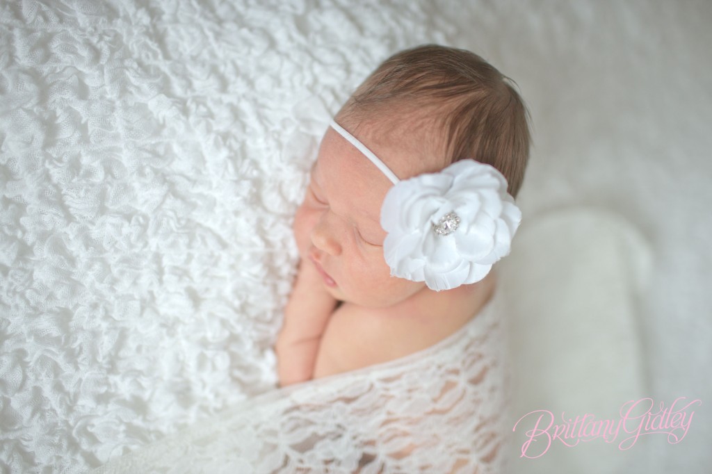 Akron Newborn Photographer | Inspiration | Newborn | Brittany Gidley Photography LLC