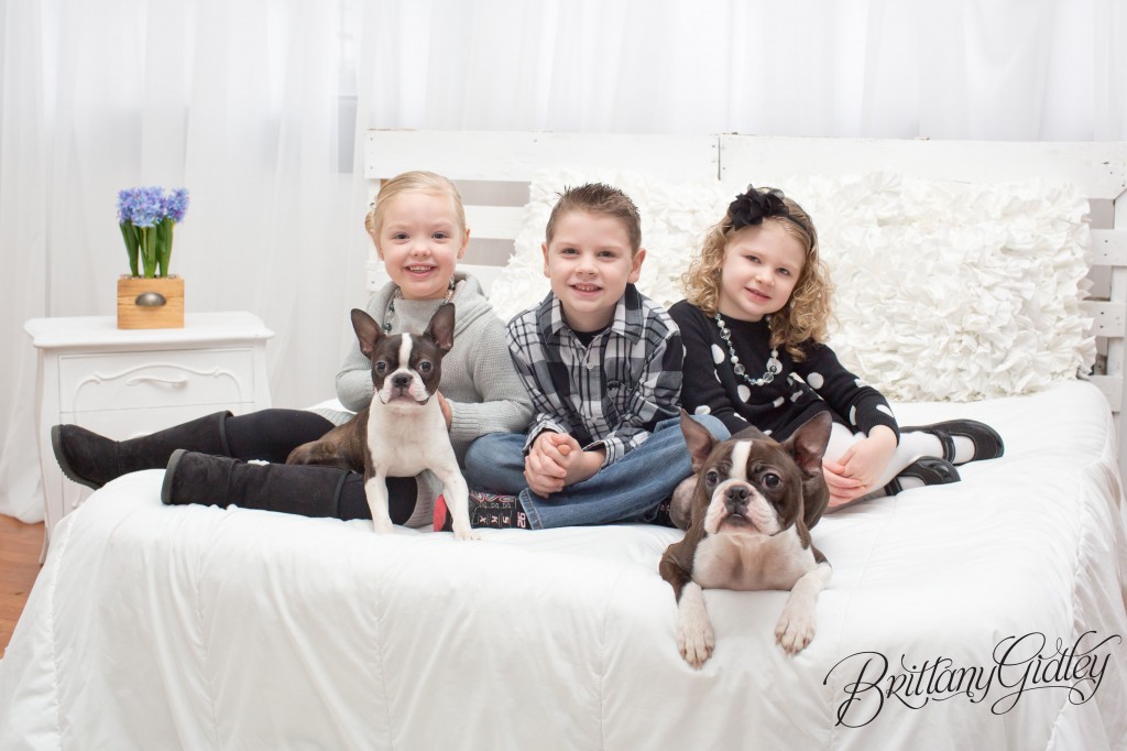 Child Photography | Start With The Best | Brittany Gidley Photography LLC | www.brittanygidleyphotography.com | Kids | Boston Terriers