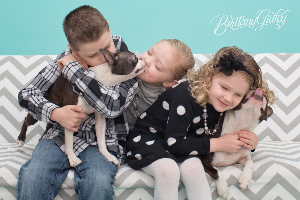 Child Photography | Start With The Best | Brittany Gidley Photography LLC | www.brittanygidleyphotography.com | Kids | Boston Terriers