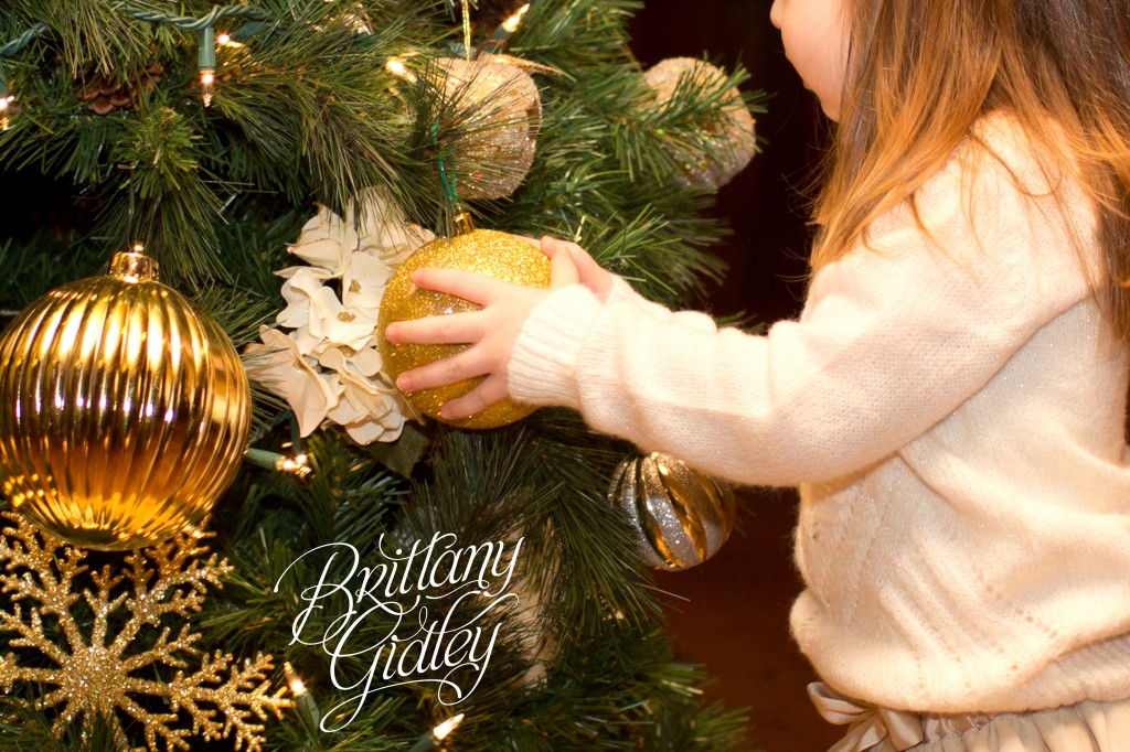 Country Club Family Photography | Congress Lake Country Club | Hartville Ohio | Holiday | Christmas | Brittany Gidley Photography LLC